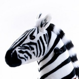 PonyCycle Zebra (XXL formaat)